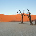 Namibia czerwone piaski pustyni - Namibia_Czerwone_piaski_pustyni_47.jpg