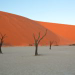 Namibia czerwone piaski pustyni - Namibia_Czerwone_piaski_pustyni_49.jpg