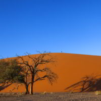 Namibia2015 - Namibia_2015_311.jpg